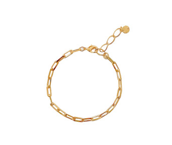 Pulseira Elos Cartier Pequenos